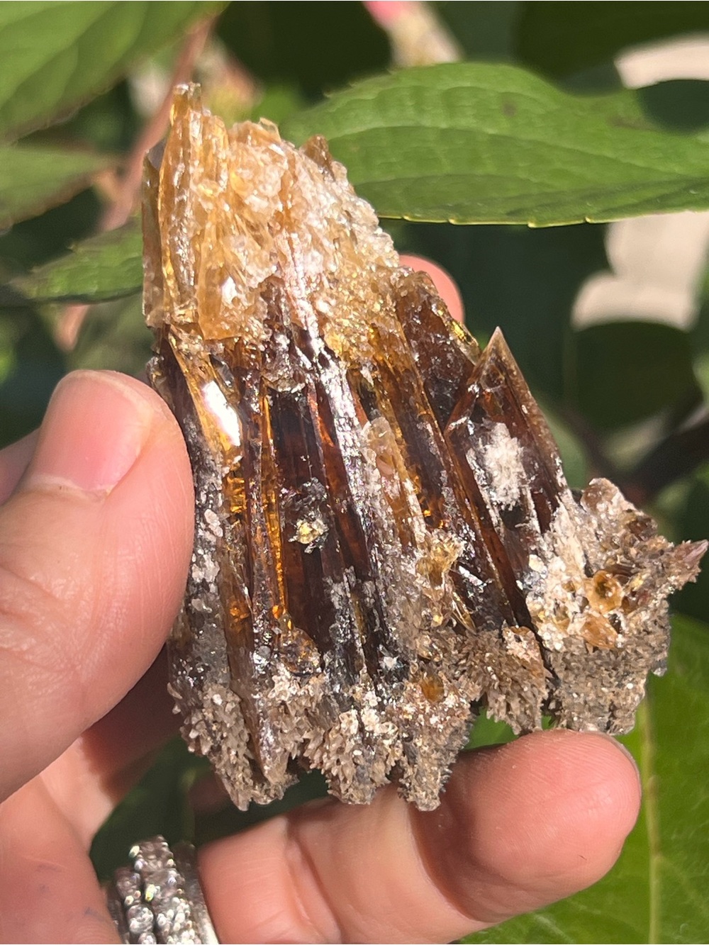 Amber (1) calcite specimen | crystal